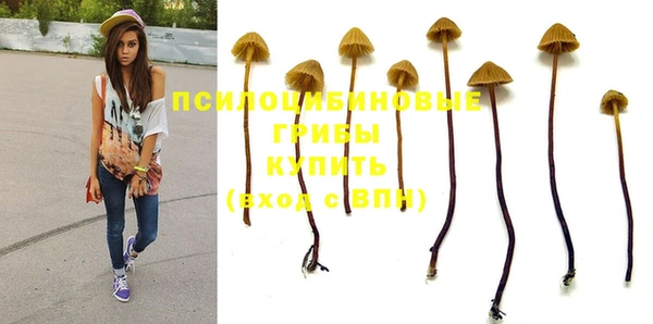 гашиш Абаза