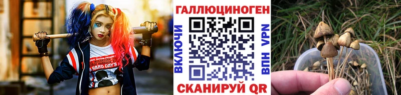darknet формула  omg ONION  Кириллов  Псилоцибиновые грибы Psilocybine cubensis 